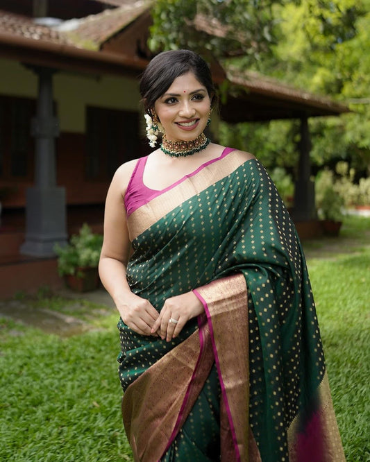 BANARASI SILK SAREE